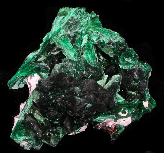 Fibrous Malachite Crystals - Congo #33481